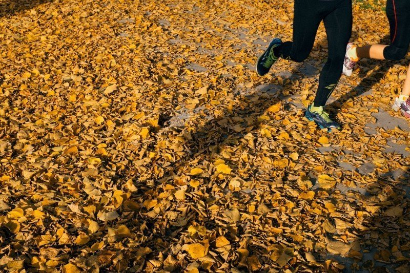 joggers-running-in-autumn-park.jpg