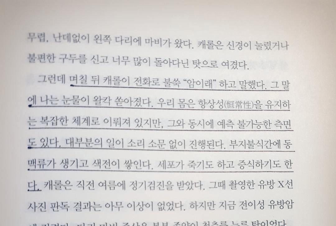 캐롤.jpg