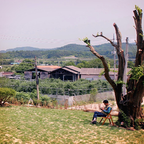 006. 외부마당_300여년 된 모과나무를 마당에 옮겨 심고 건축주가 제일 좋아하는 공간이 되었다.jpg