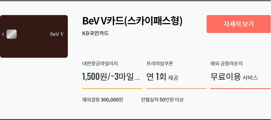 Bev V(스카이패스형).jpg