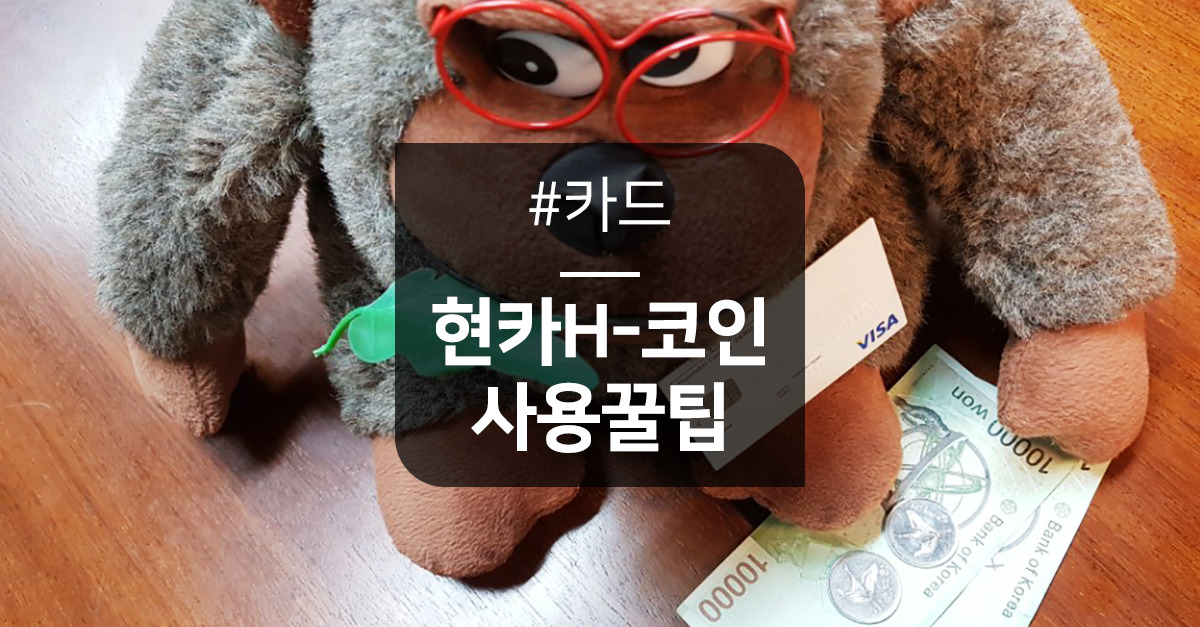 현대카드hcoin (25).jpg