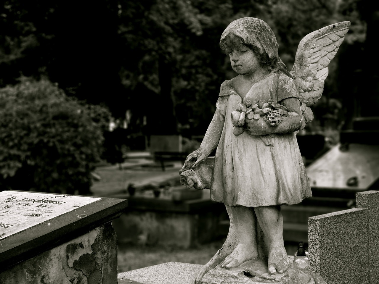 angel-629789_1280.jpg