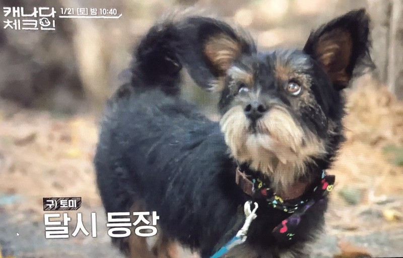 다운로드 (1).jpg