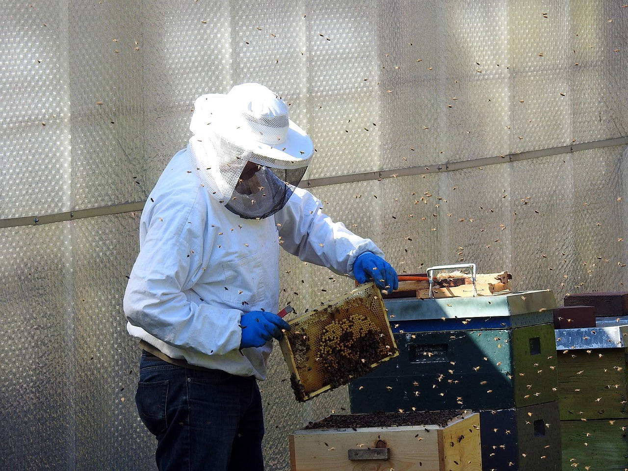 beekeeper-2156663_1280.jpg