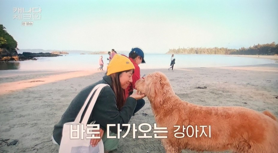 다운로드 (2).jpg