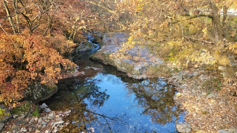 충북 계곡.jpg