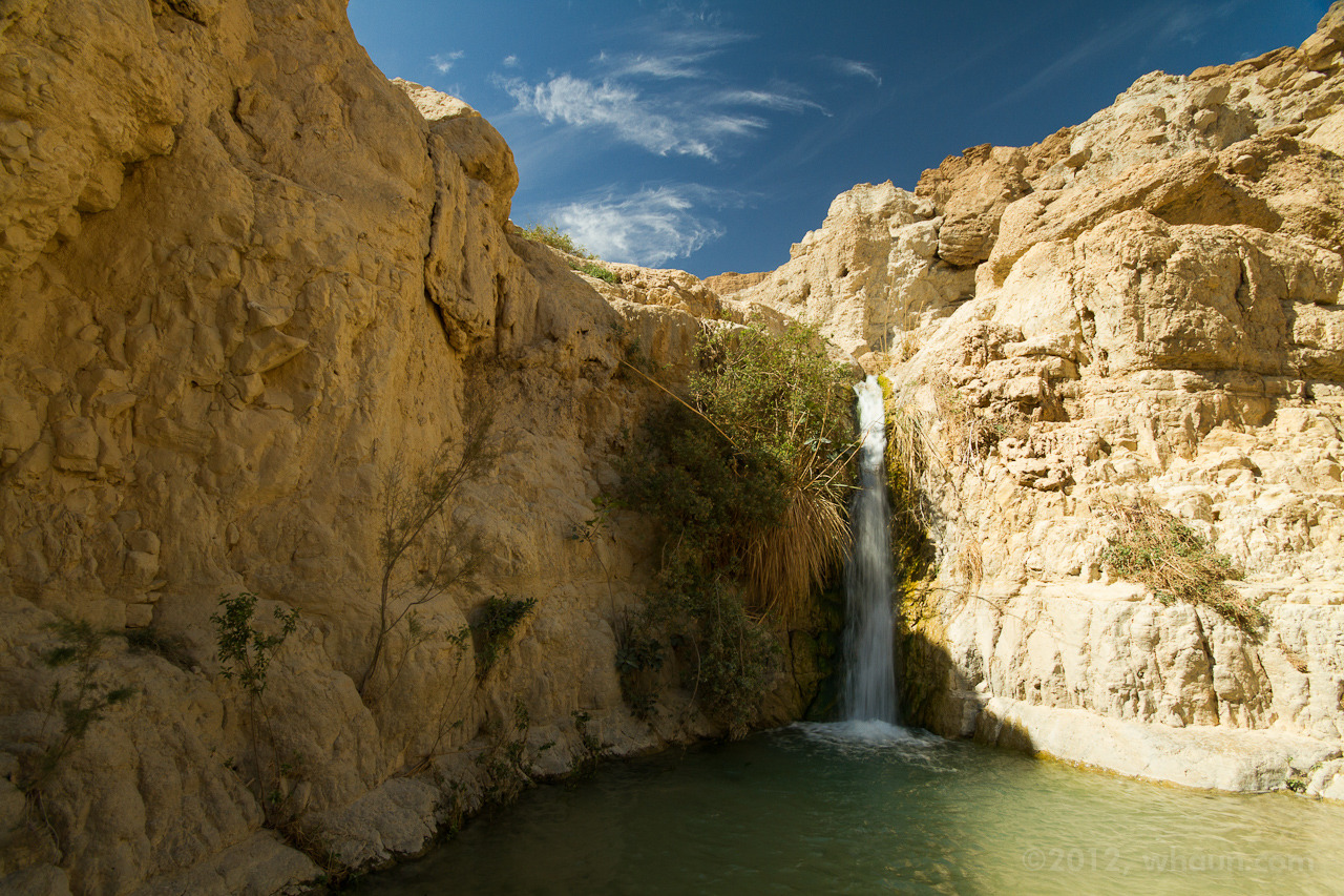 ein-gedi-9.jpg