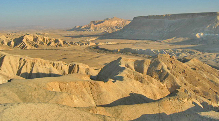 NEGEV_002.jpg