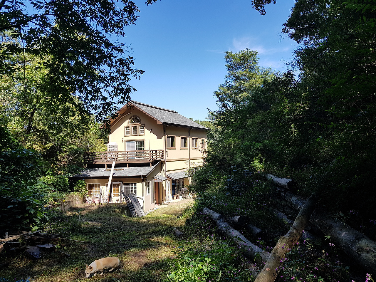 마당에서 본 집.jpg