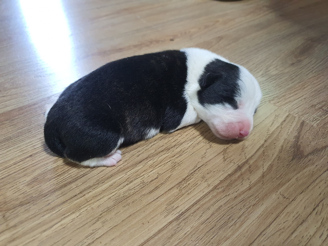 온라인 카지노 게임