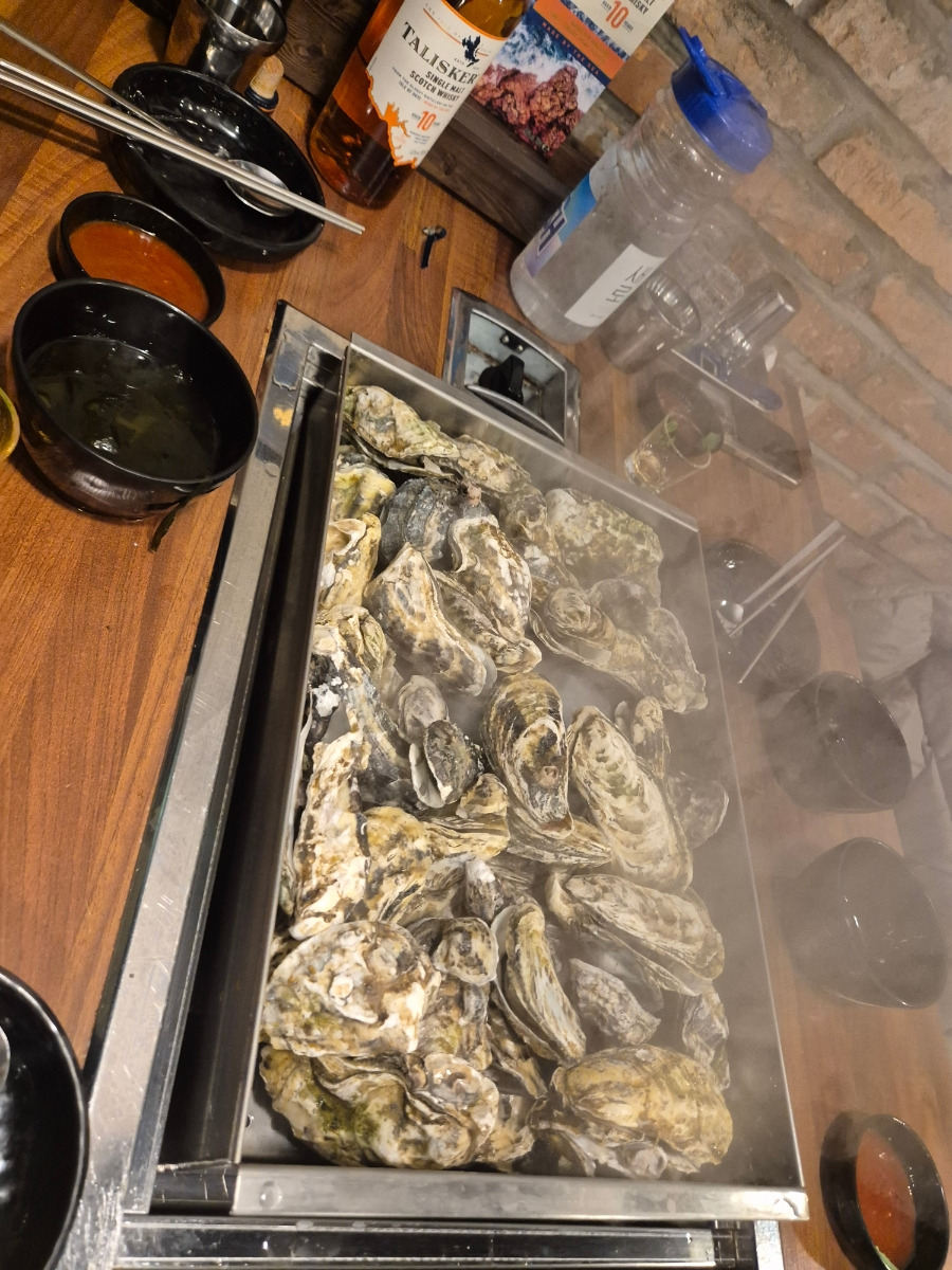카지노 게임 사이트