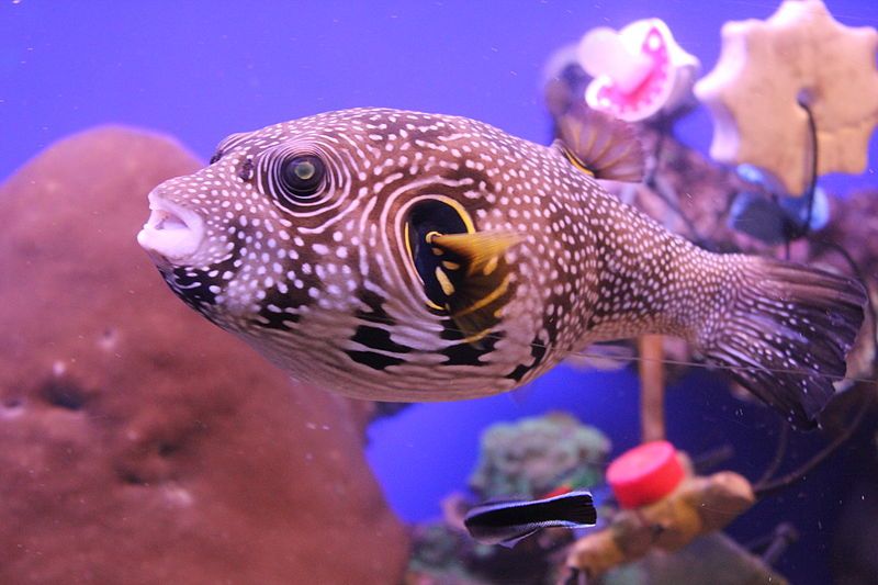 20170919185630737 (1).jpg