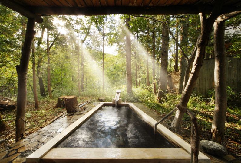 온천산장 다이콘노하나2.jpg