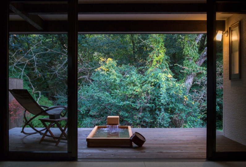 하타고 사쿠라1.jpg