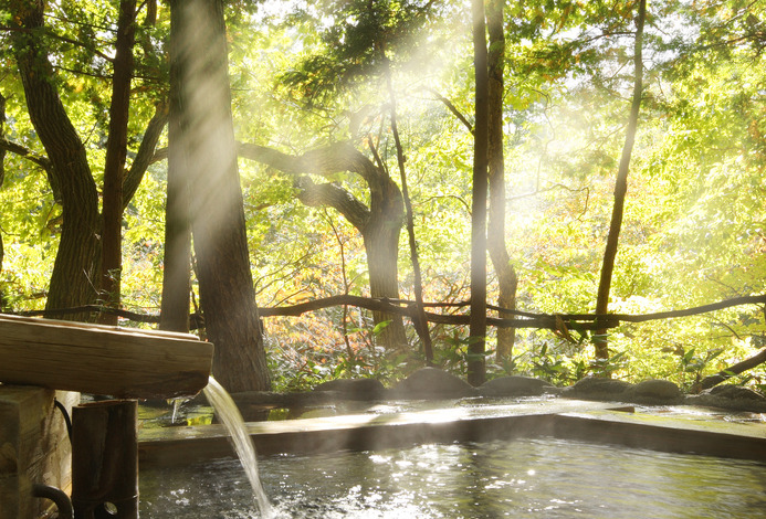 온천산장 다이콘노하나3.jpg