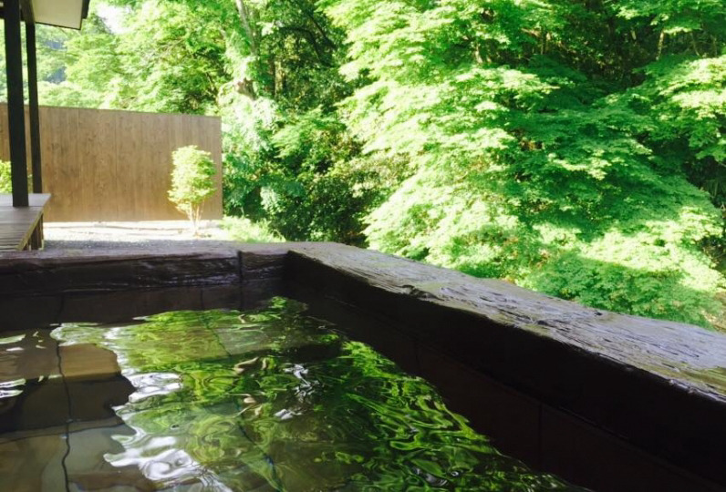 하타고 사쿠라2.jpg