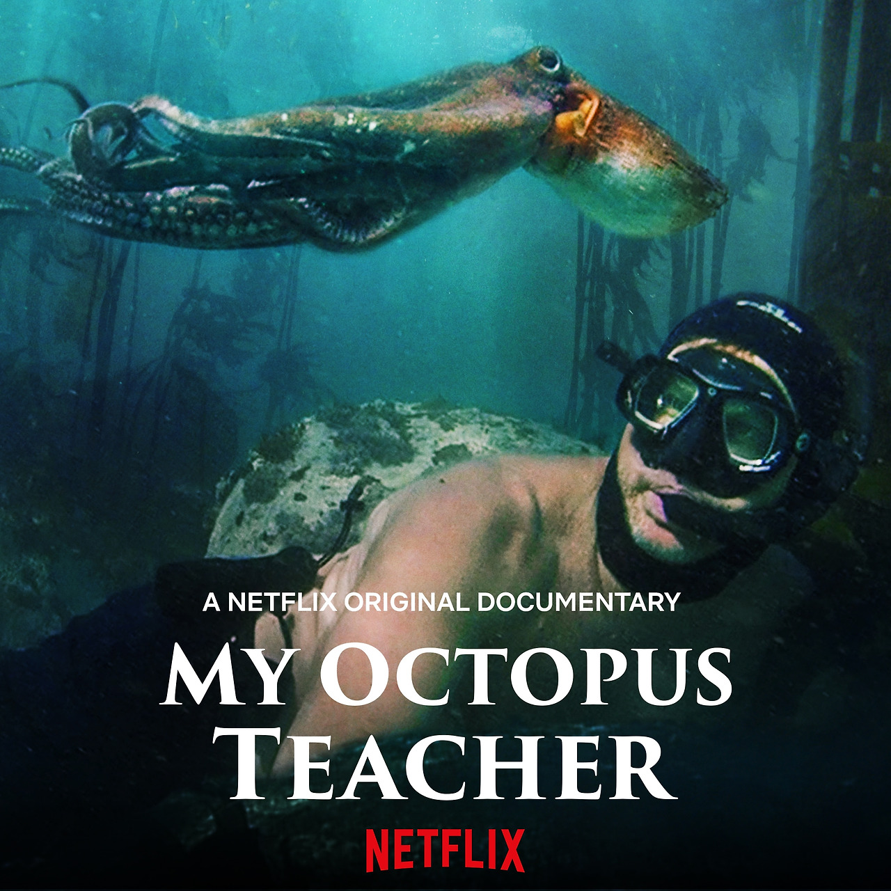 My_Octopus_Teacher.jpg