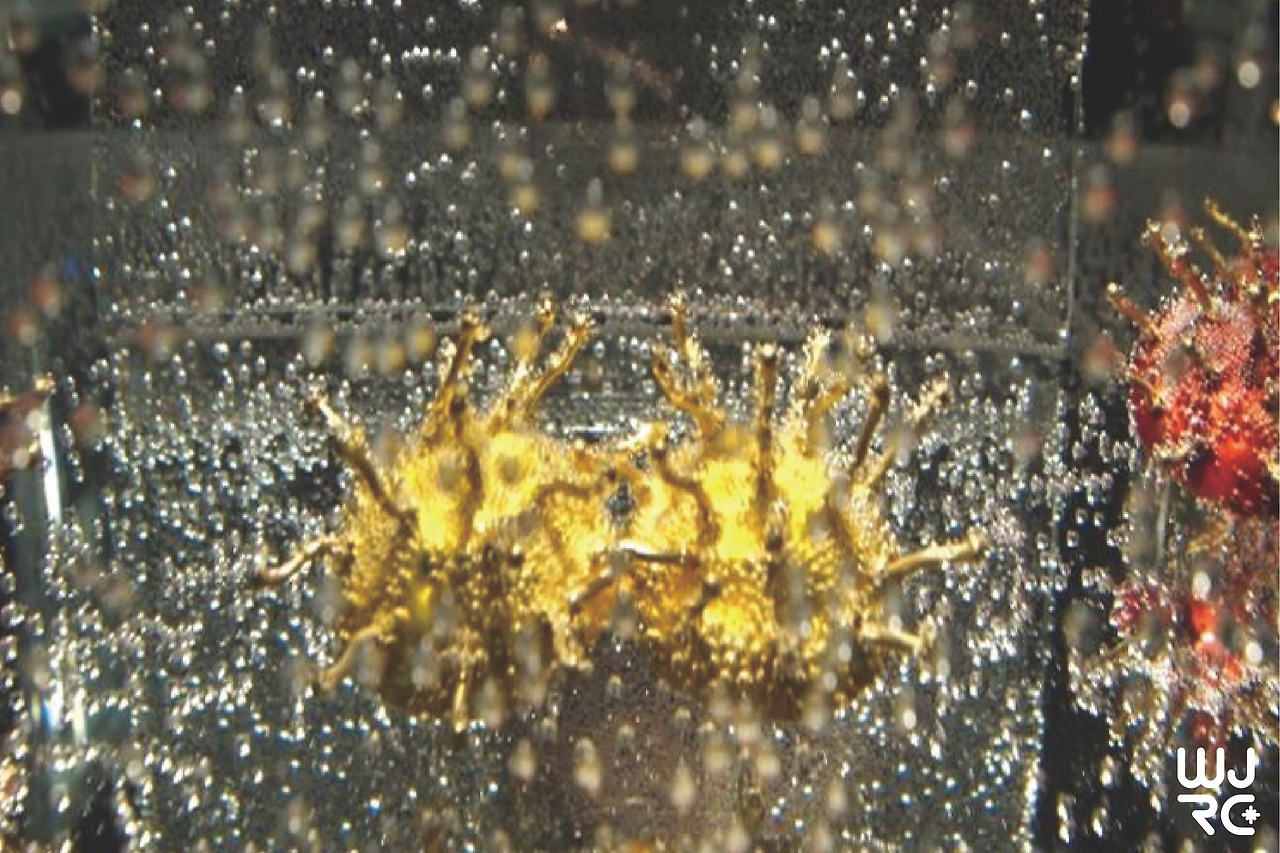 대지 1 사본 9-100.jpg