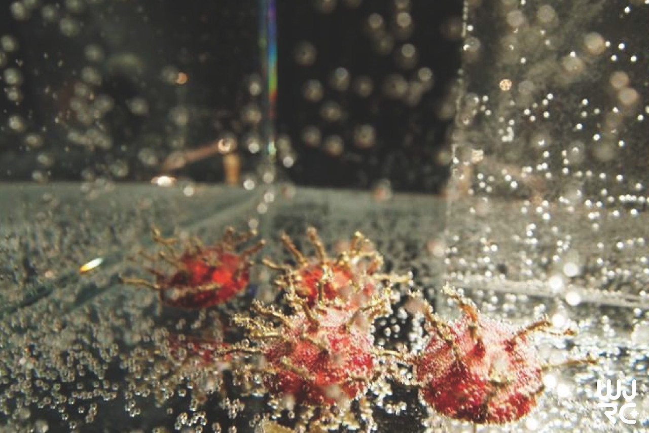 대지 1 사본 8-100.jpg