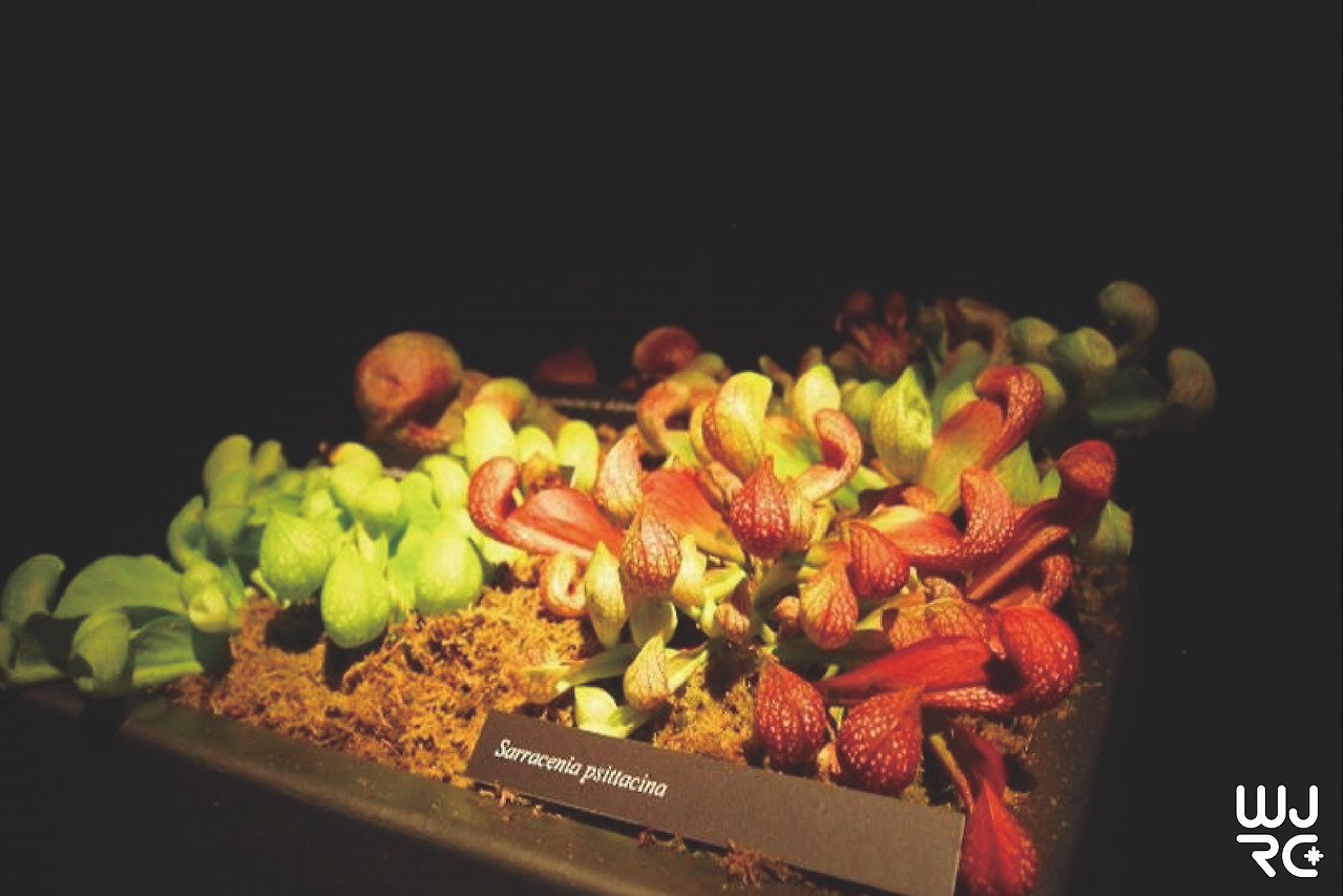 대지 1 사본 11-100.jpg