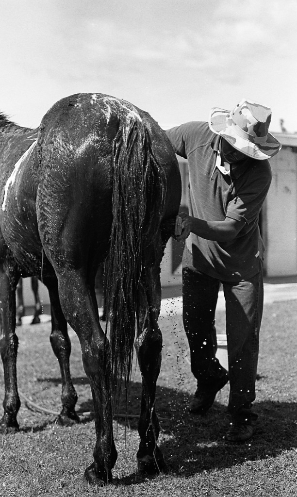 B&W (1024*768)004-6.jpg