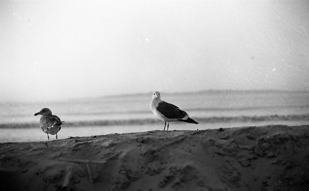 B&W (1024*768)021.jpg