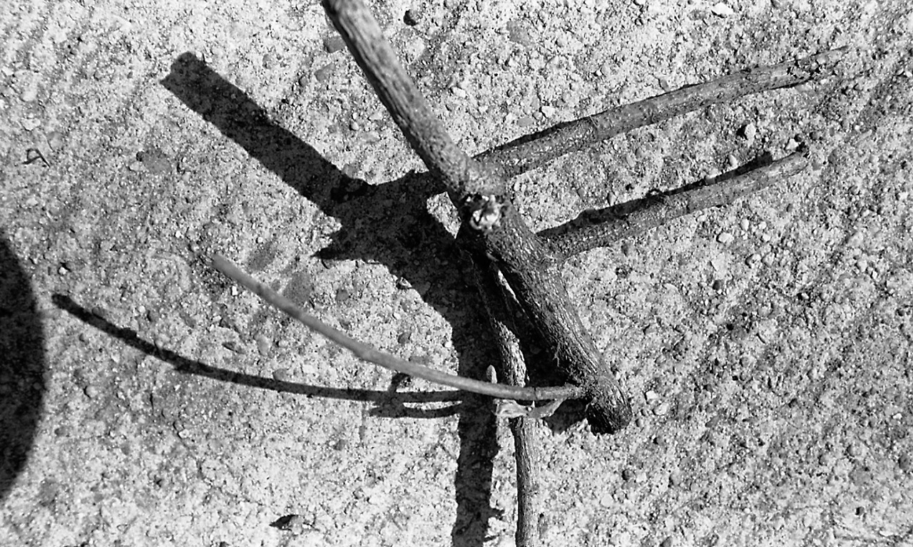 B&W (1024*769)014.jpg