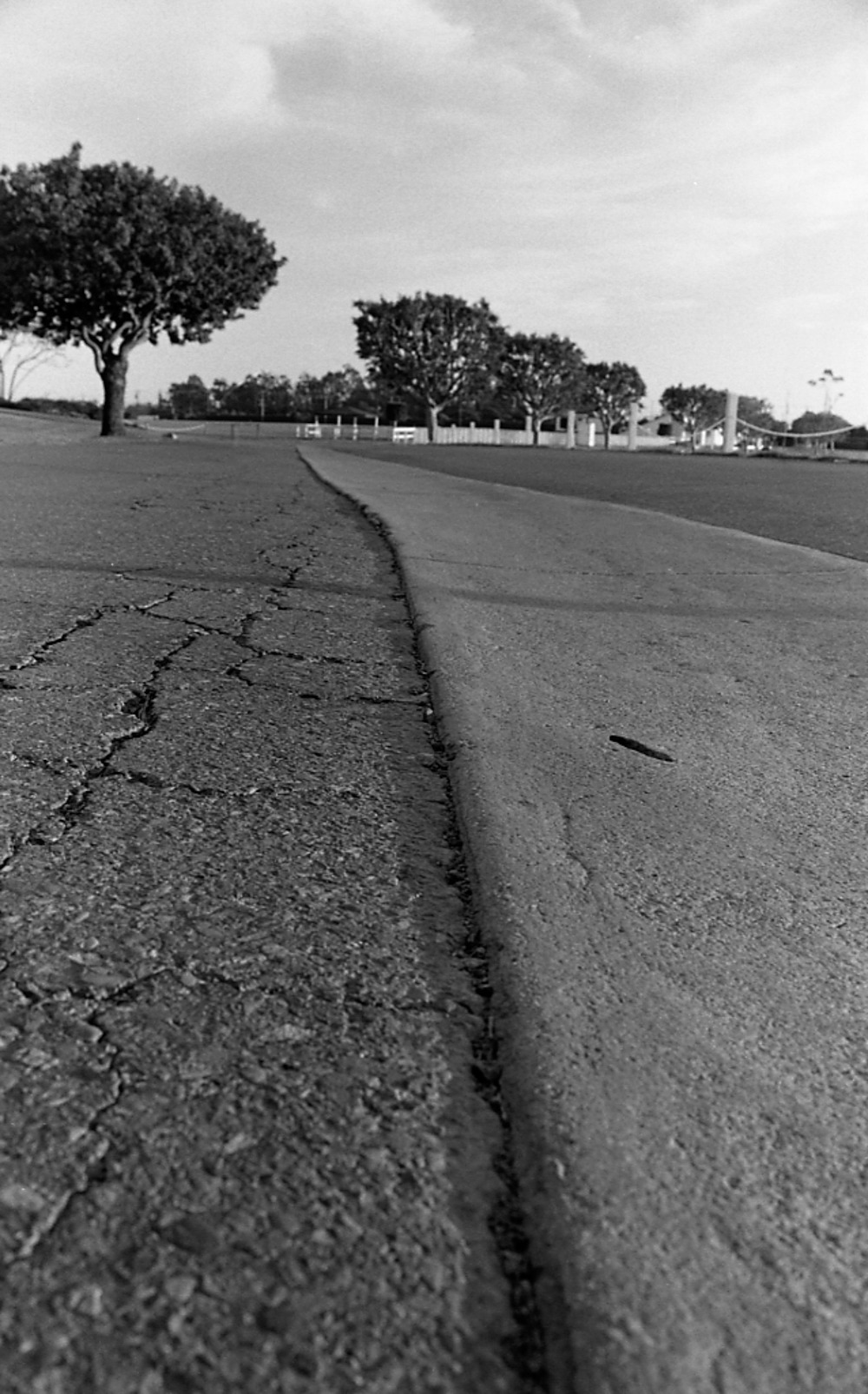 B&W (1024*768)005.jpg