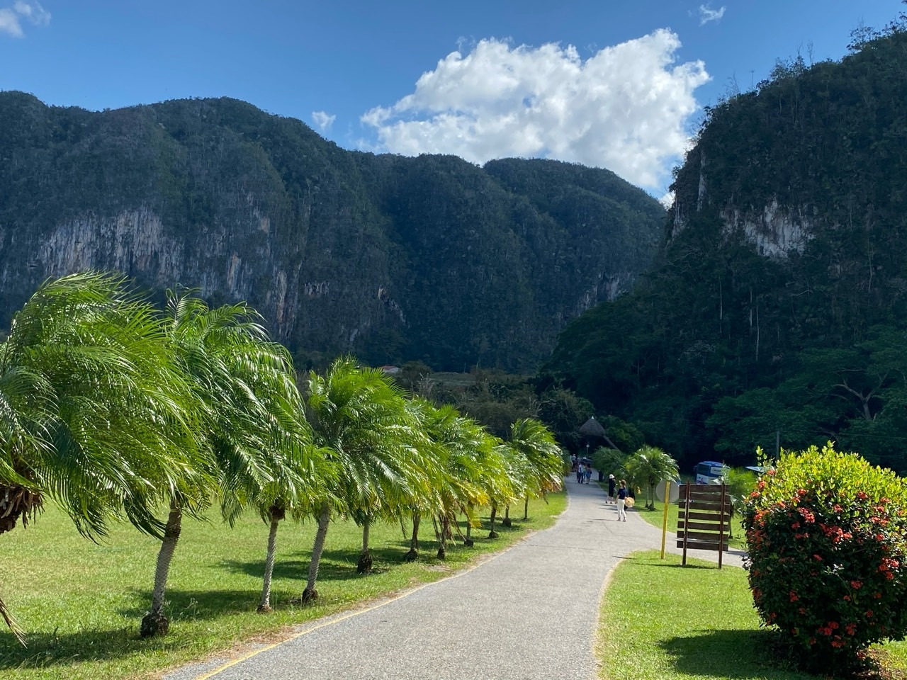 4_igcUd018svcr17brqbwqyuk_6n5z1p - 복사본.jpg