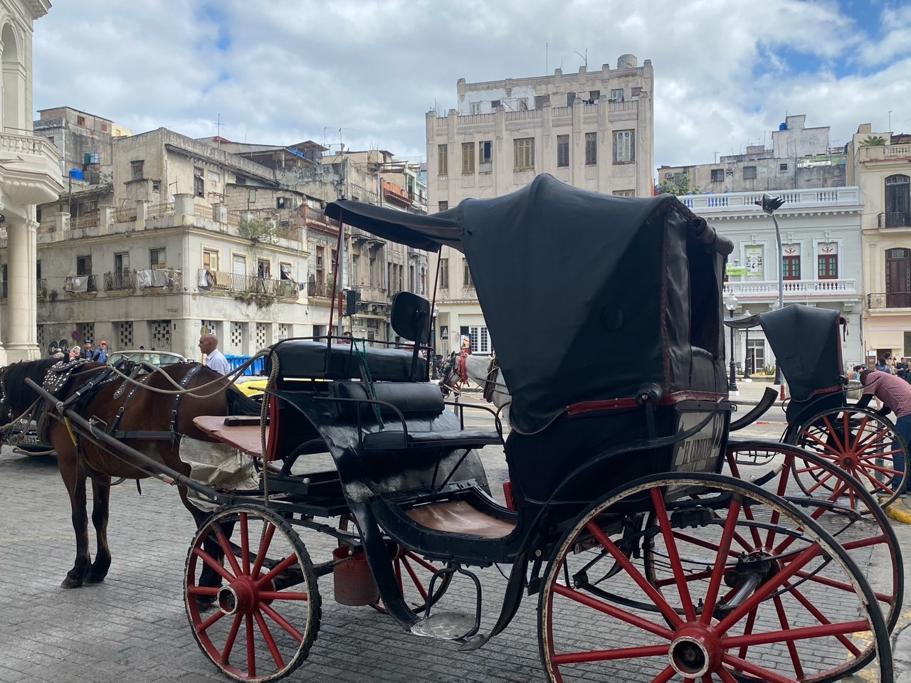 오비스포 마차.jpg