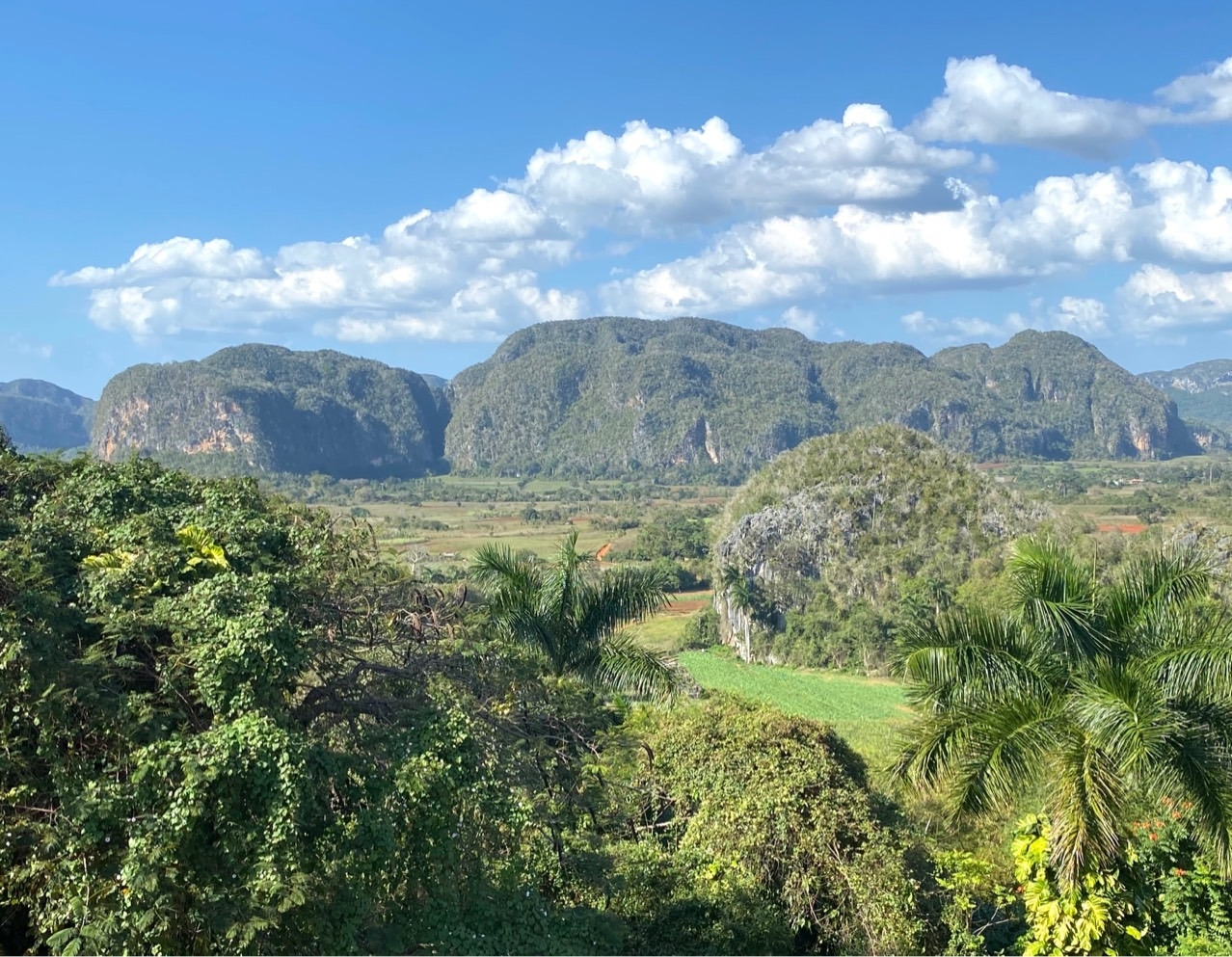 g_0h3Ud018svcxyln0nufmrny_5hsvh - 복사본.jpg