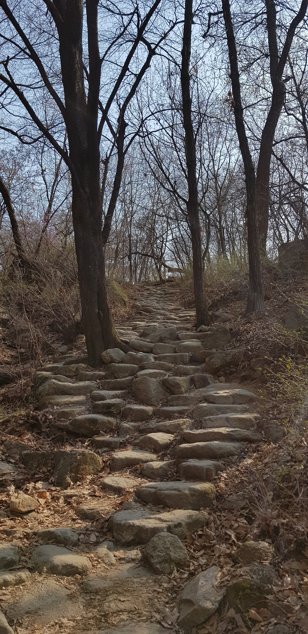 20200330_152403 (1).jpg