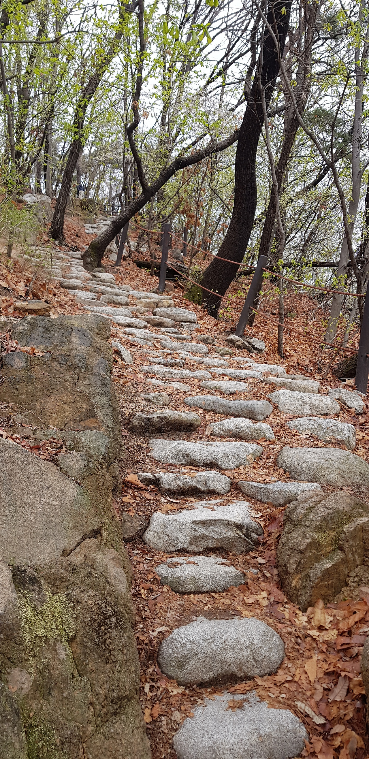 돌계단.jpg