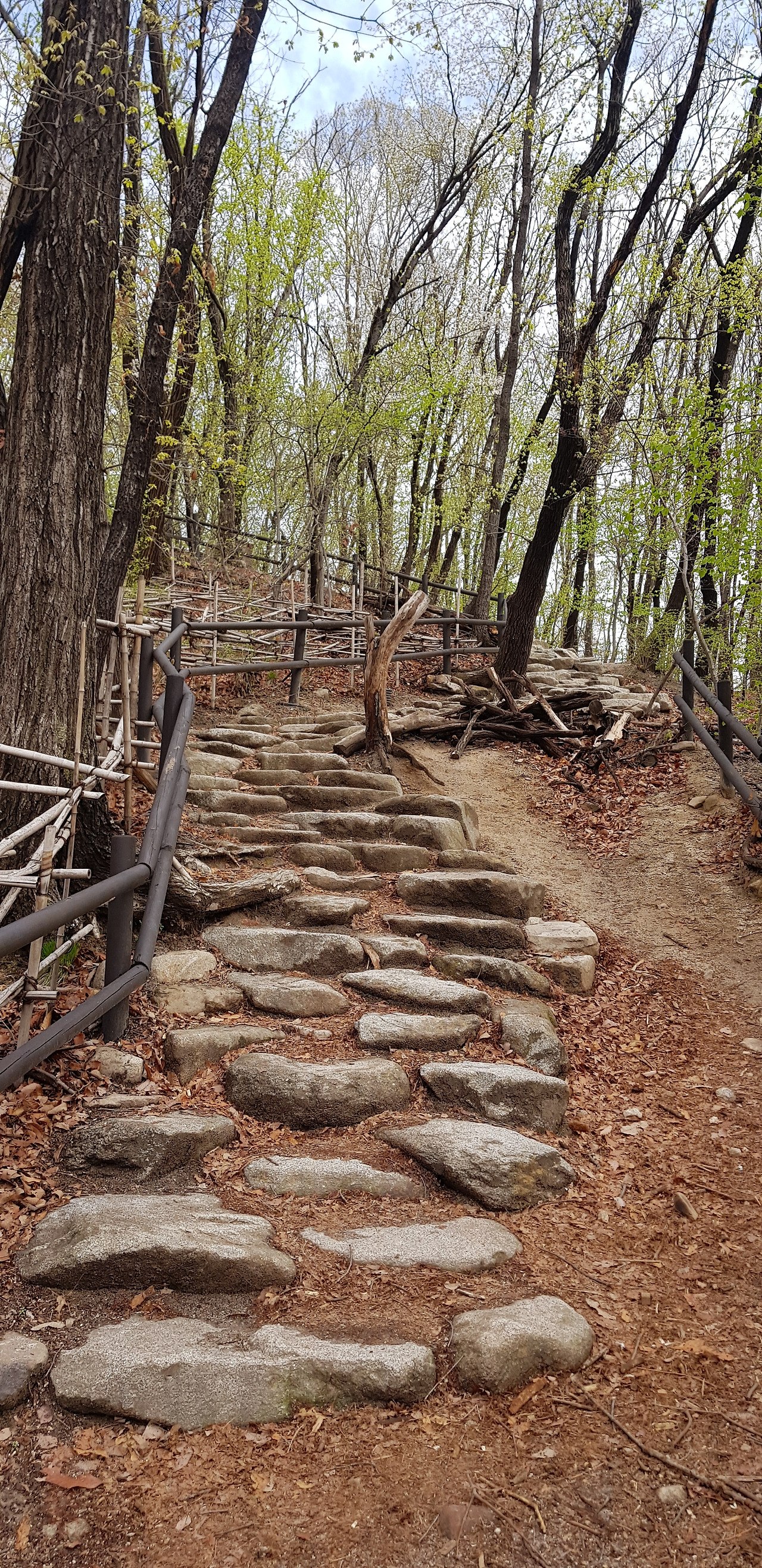 돌계단.jpg