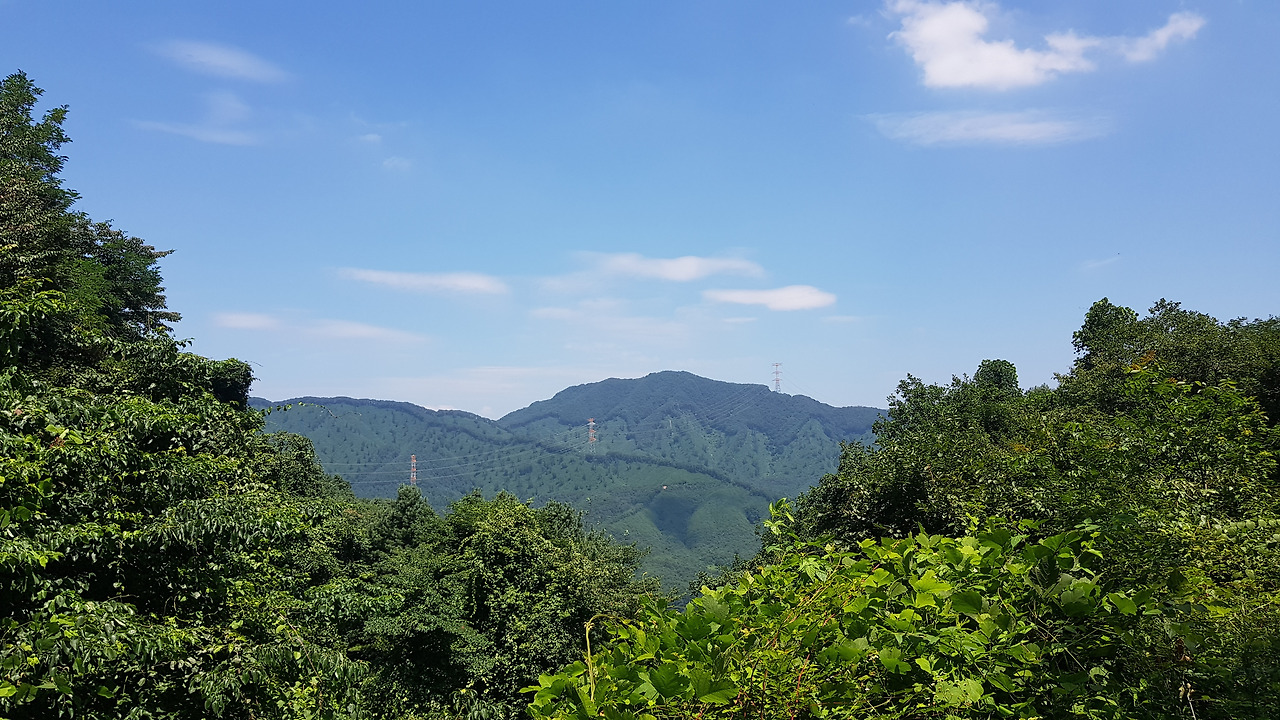 20230722_123751 (1).jpg