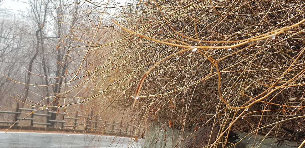 빗방울.jpg