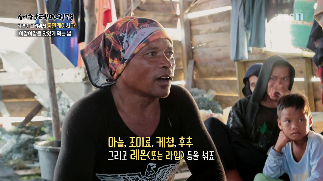 세계테마기행.230214.자연이 그리워서,동말레이시아 - 푸른빛에 빠지다!셈포르나.mp4_20230216_001252.626.jpg