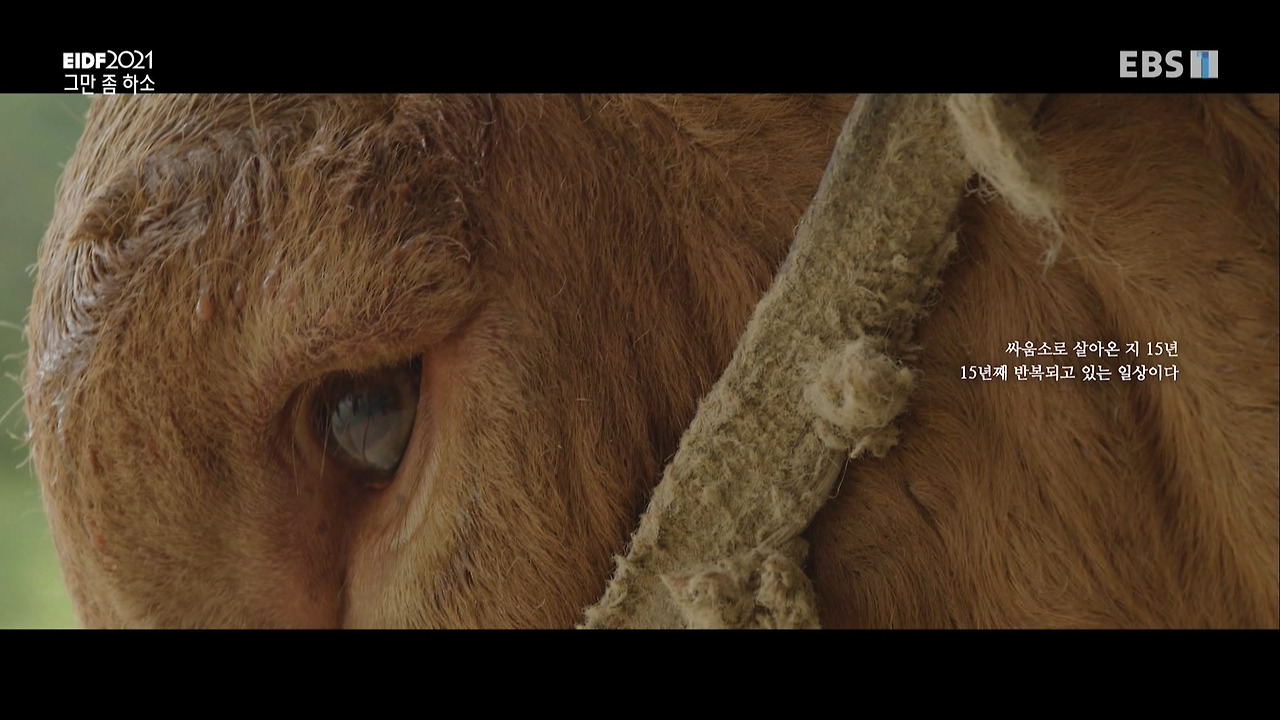 [2021]08-24(화) EIDF 2021 페스티벌 초이스 아시아-그만 좀 하소.tp_20210825_113413.003.jpg