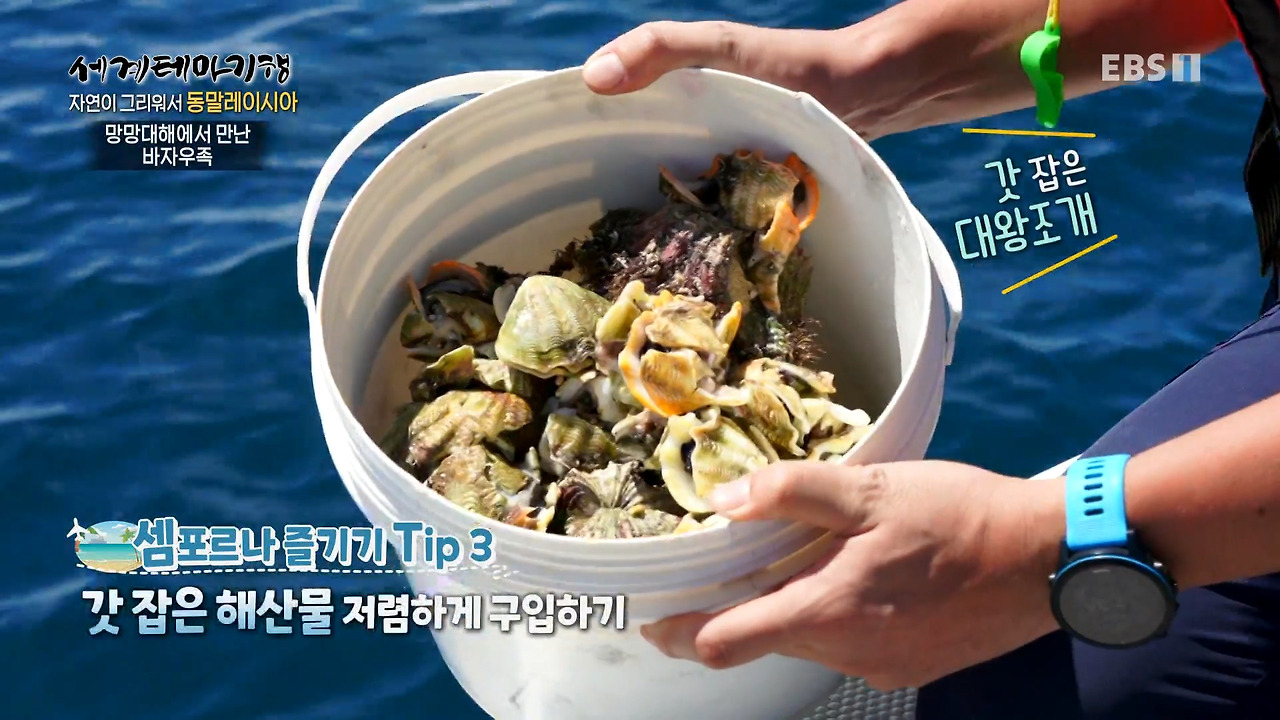 세계테마기행.230214.자연이 그리워서,동말레이시아 - 푸른빛에 빠지다!셈포르나.mp4_20230216_001159.609.jpg