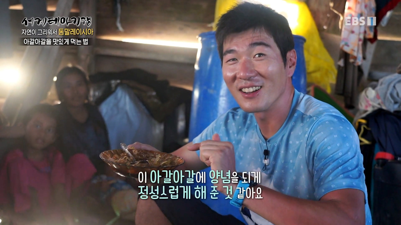 세계테마기행.230214.자연이 그리워서,동말레이시아 - 푸른빛에 빠지다!셈포르나.mp4_20230216_001317.610.jpg