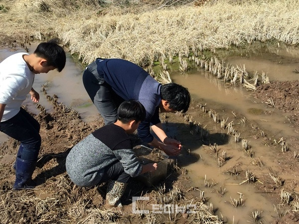 올챙이 살리기 오광성 페이스북.jpg