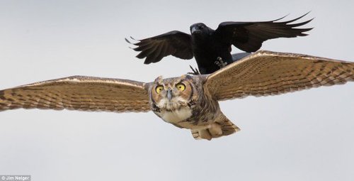 티스토리 canston.jpg