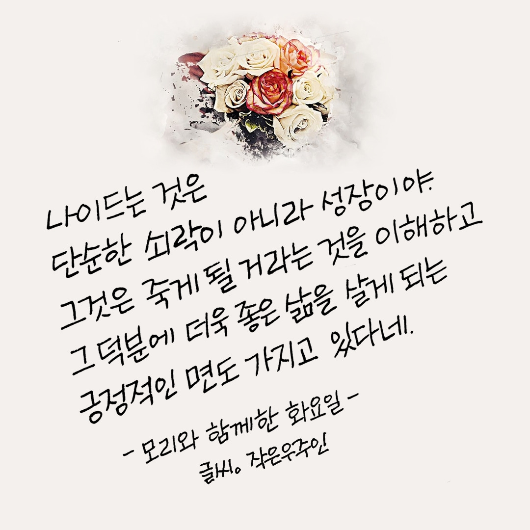 모리와 함께한 화요일1.jpg