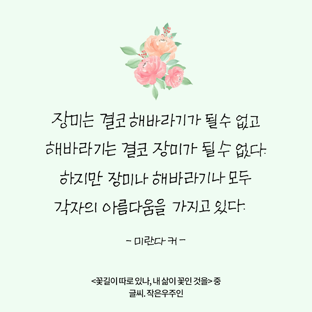 미란다커.jpg