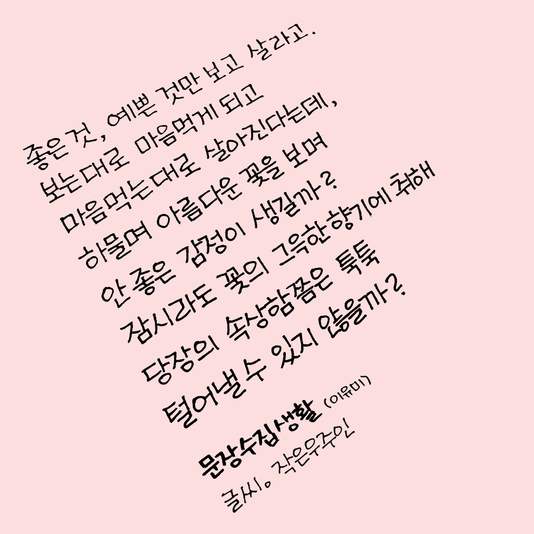 문장수집생활1.jpg