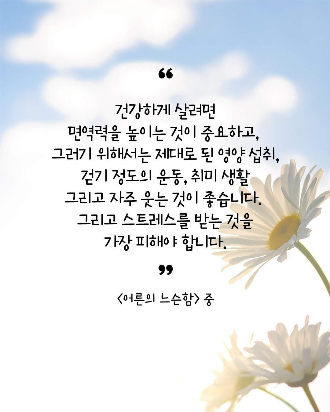 어른의 느슨함.jpg