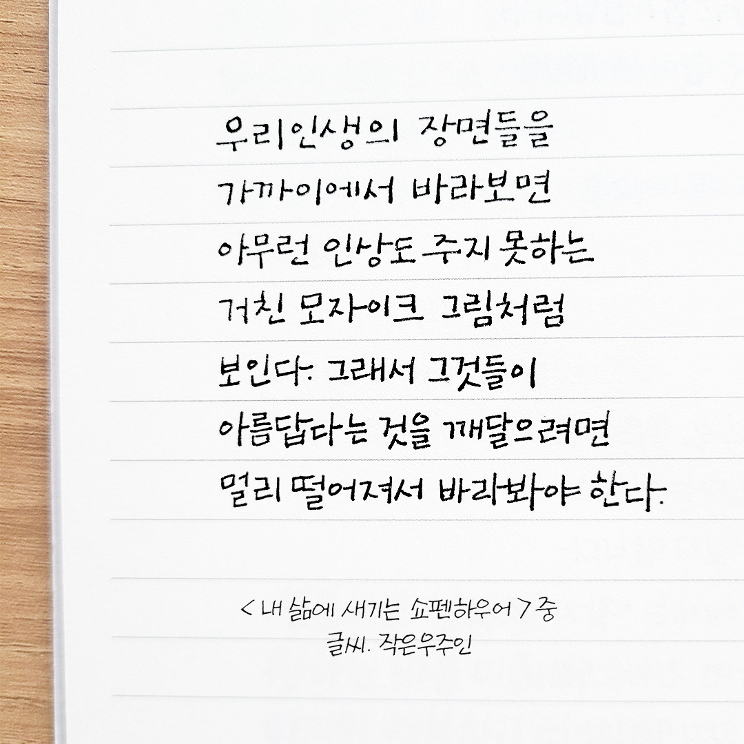 내 삶에 새기는 쇼펜하우어-1.jpg