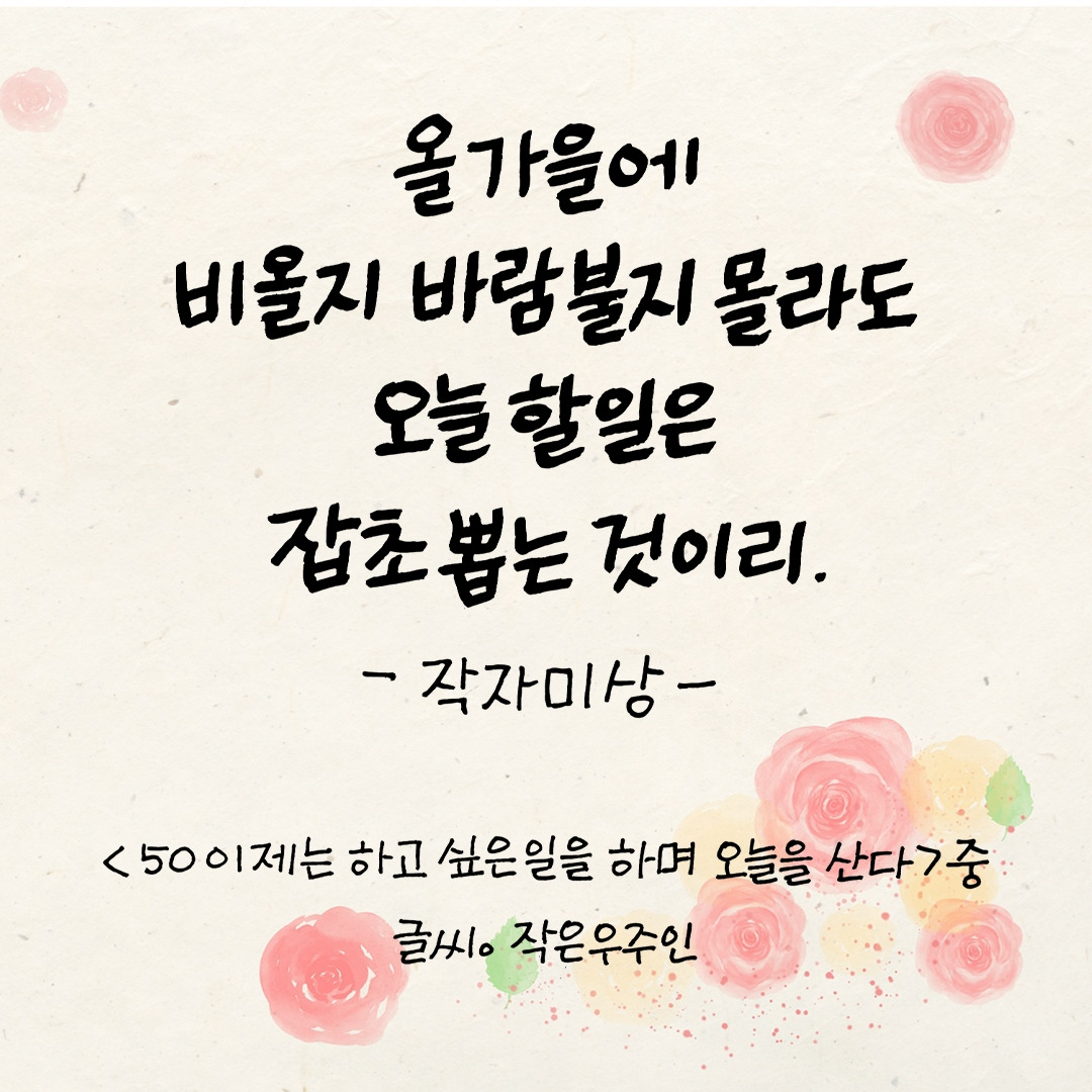 50이제는하고싶은일을하며오늘을산다.jpg