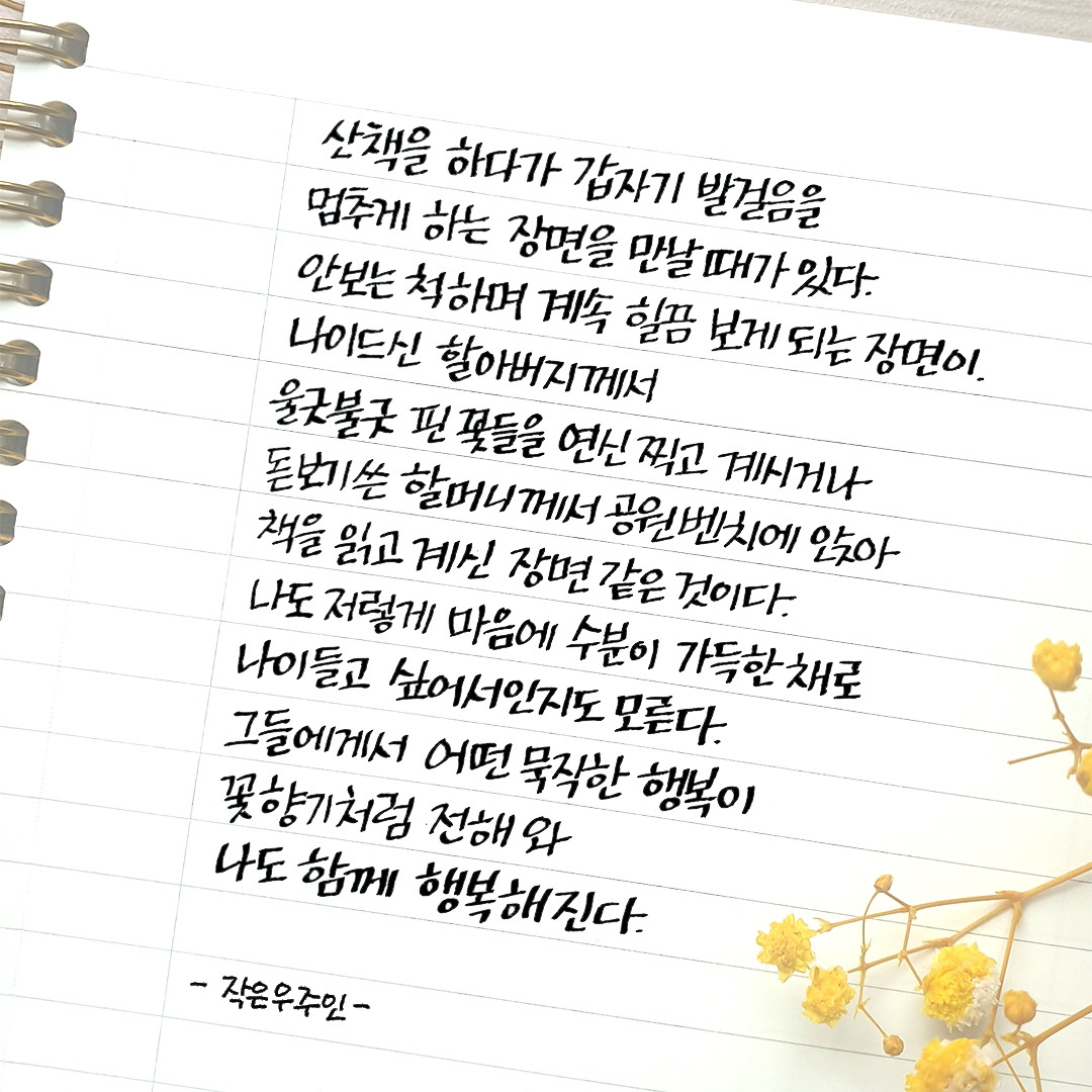 발걸음을 멈추게 하는 장면.jpg