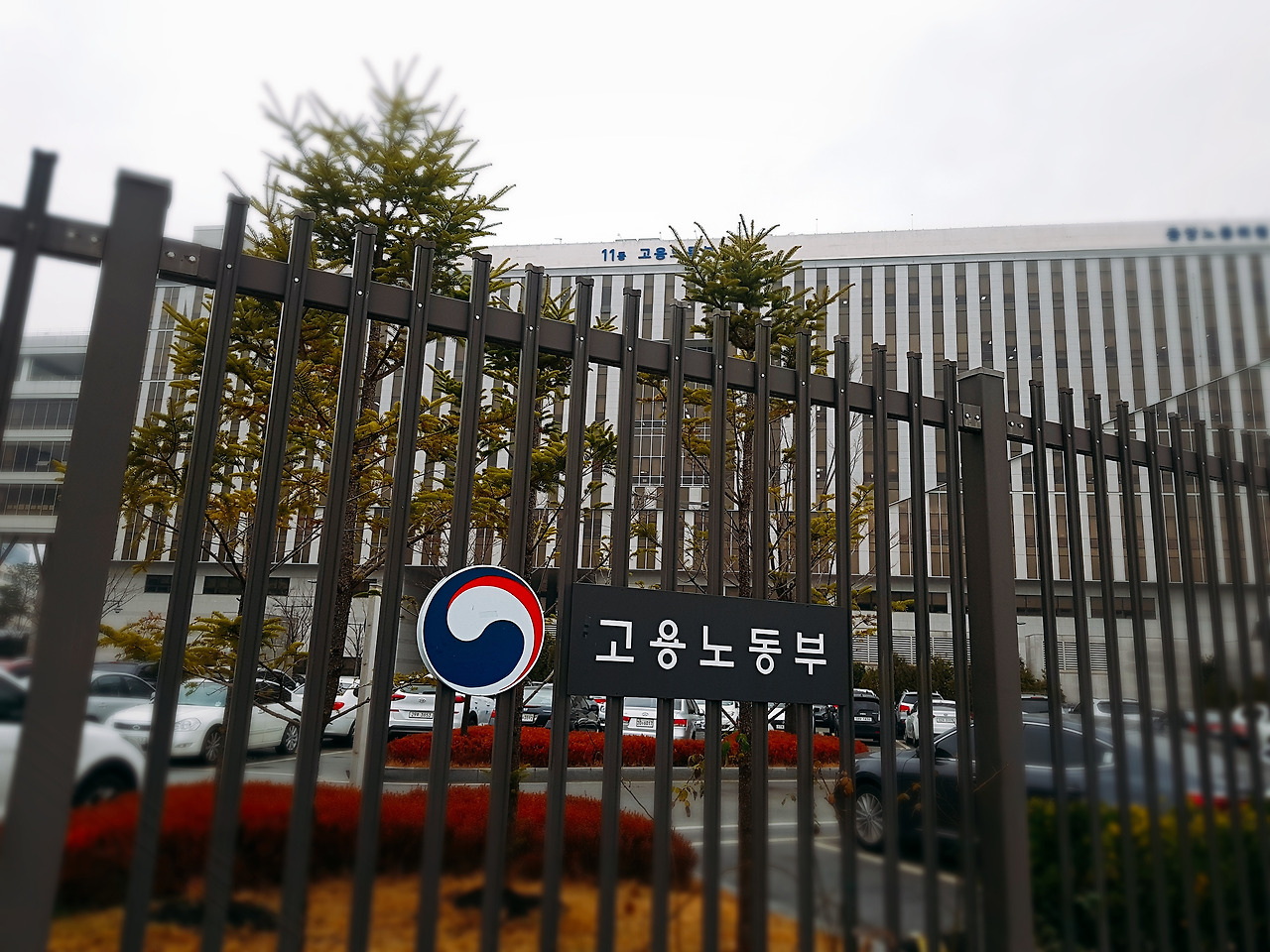 2018-12-03-10-50-02 (1).jpg